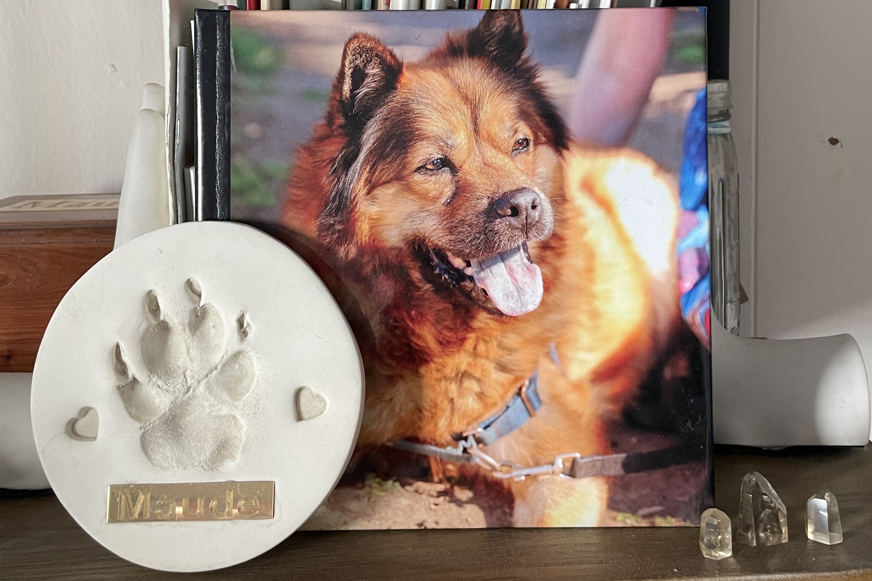 A photo of a smiling Chow Chow dog next to a clay paw print on a mantle